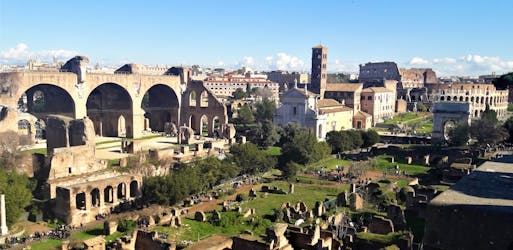 Volledige tour met luxe vervoer in Rome inclusief bezoek aan het Vaticaan, het Colosseum en de fonteinen